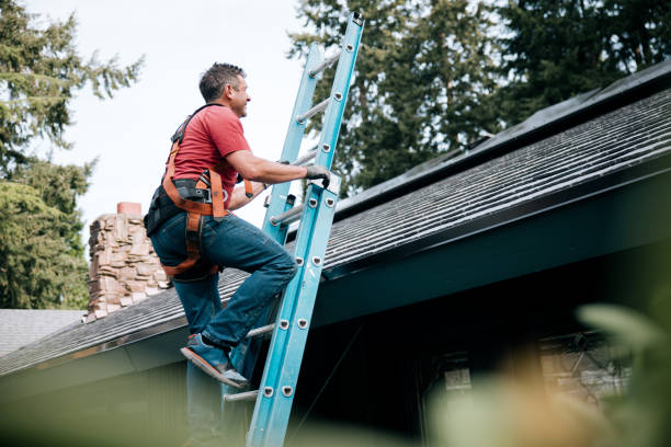 Best Roof Ventilation Installation  in Cedar Point, NC